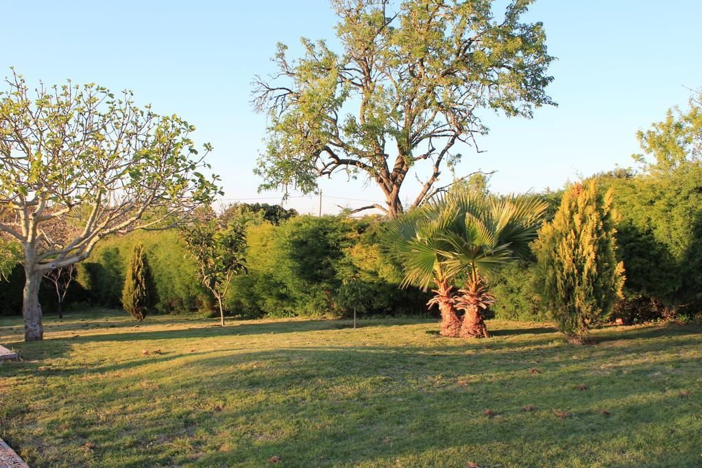 Horta Nova Villa Lagos Rom bilde